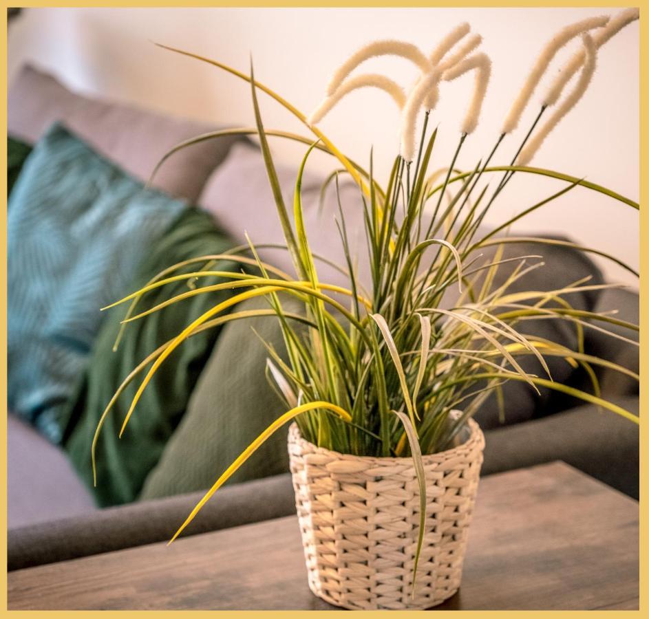 Appartement T3 I Cozy I Douvaine Eksteriør bilde